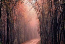 💣平地起惊雷！穆迪突破长臂轻舒 战斧隔扣米西！.