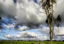 8名新人补强U22男 四国赛检验磨合效果.