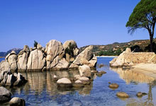 半场战报：马竞1-0巴萨，阿尔瓦雷斯破门，莱万中框.